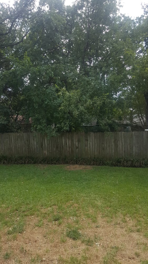 Gallery Images :  Clipper's Tree Service.