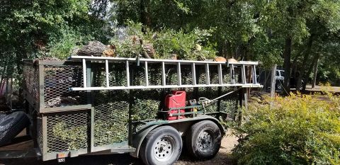Gallery Images :  Clipper's Tree Service.