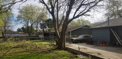 Gallery Images :  Clipper's Tree Service.