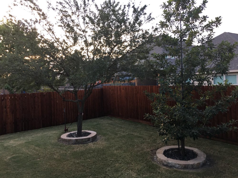 Gallery Images :  Clipper's Tree Service.