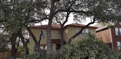 Gallery Images :  Clipper's Tree Service.