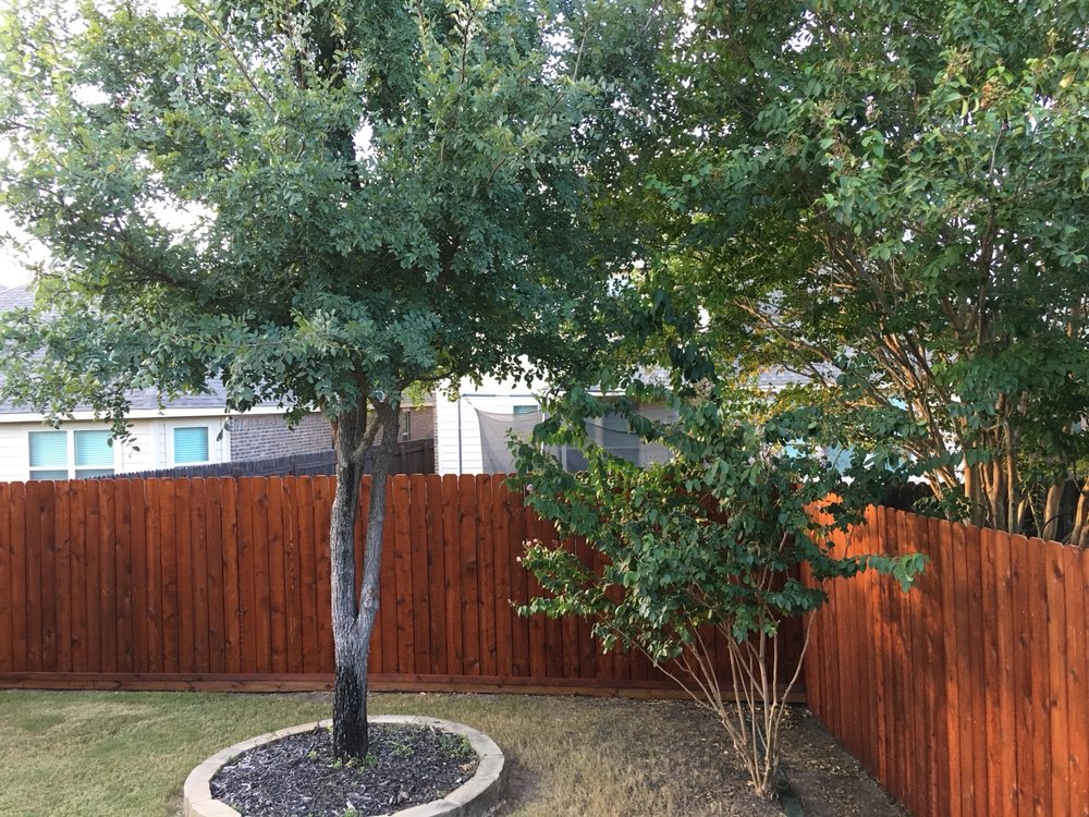 Gallery Images :  Clipper's Tree Service.