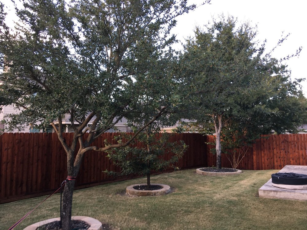 Gallery Images :  Clipper's Tree Service.